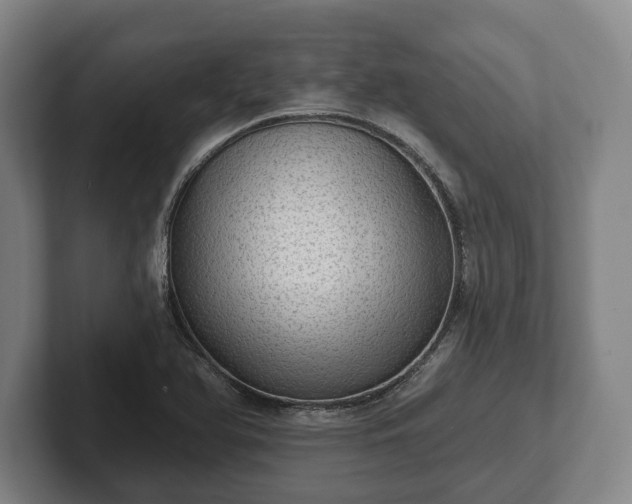 X0000102461366200808151358