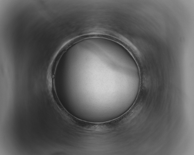 X0000102461368200808151358