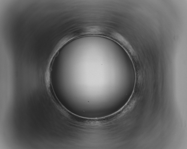 X0000102461370200808151358