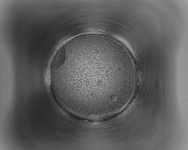 X0000102461371200808151358