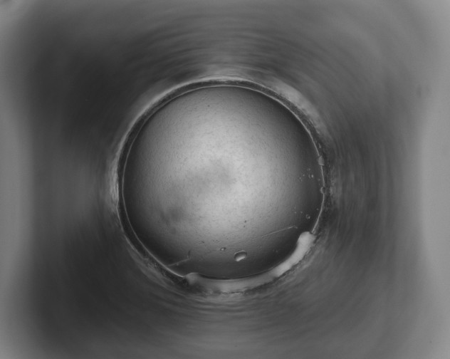 X0000102461372200808151358