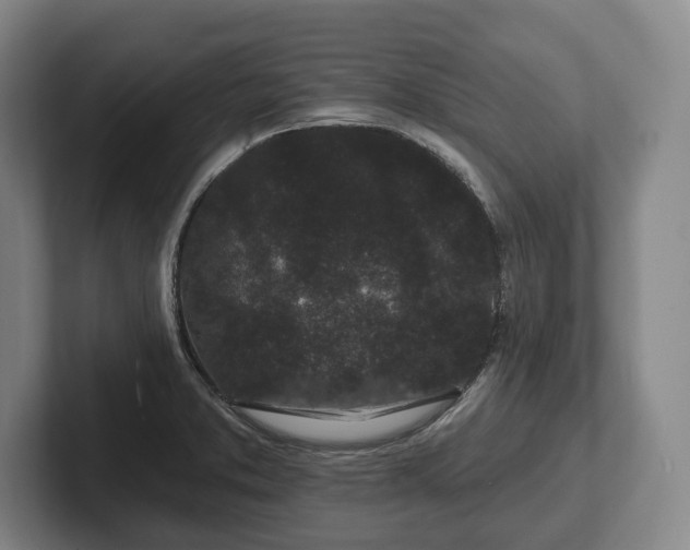 X0000102461373200808151358