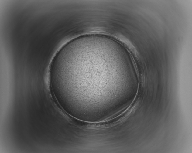 X0000102461374200808151358