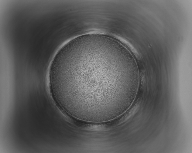 X0000102461375200808151358