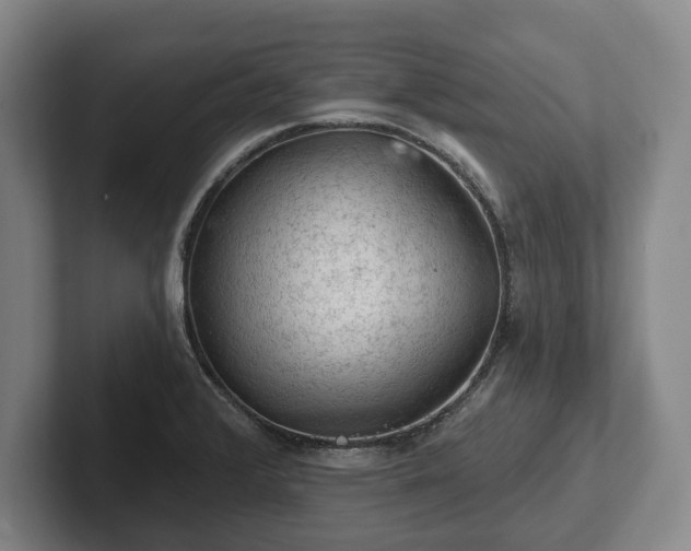 X0000102461376200808151358