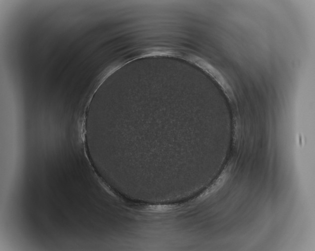 X0000102461377200808151358