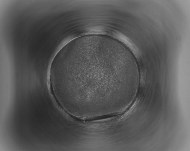 X0000102461378200808151358