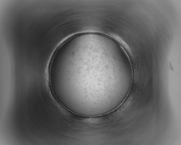 X0000102461380200808151358