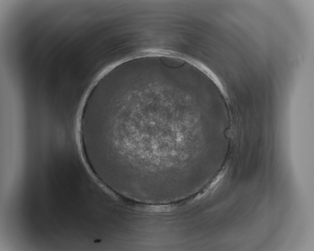 X0000102461381200808151358