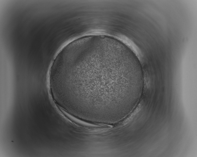 X0000102461382200808151358