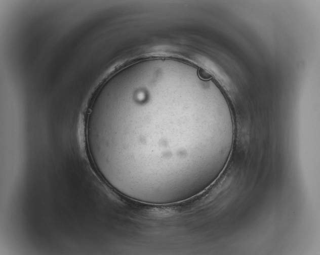 X0000102461384200808151358