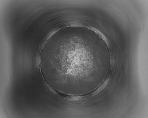 X0000102461385200808151358