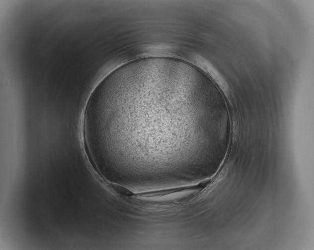 X0000102461386200808151358