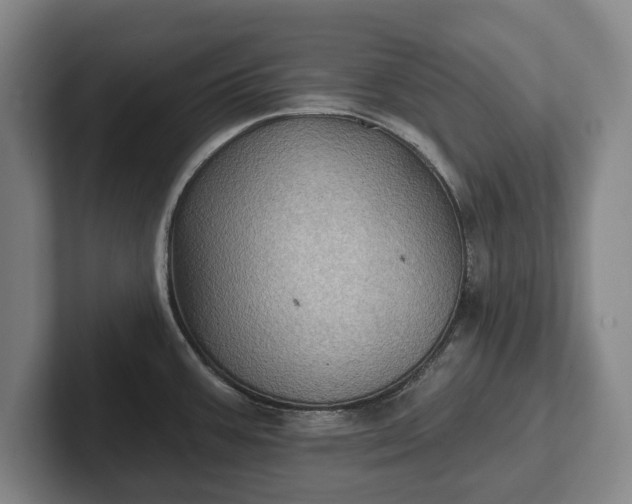 X0000102461387200808151358