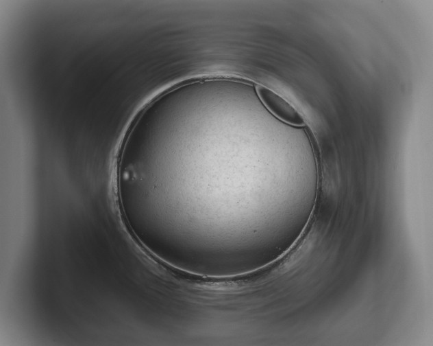 X0000102461388200808151358