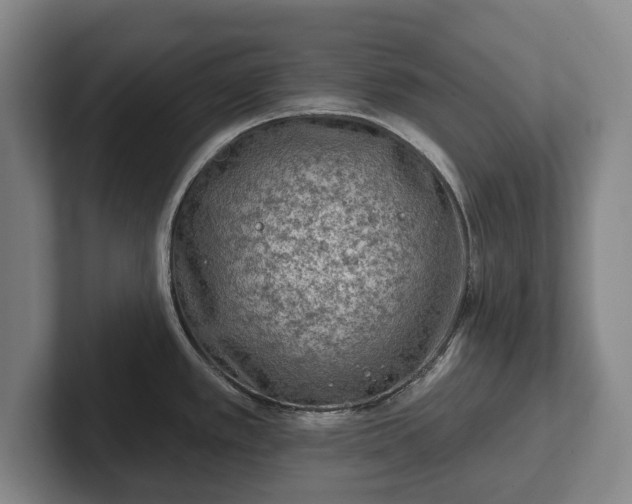 X0000102461389200808151358