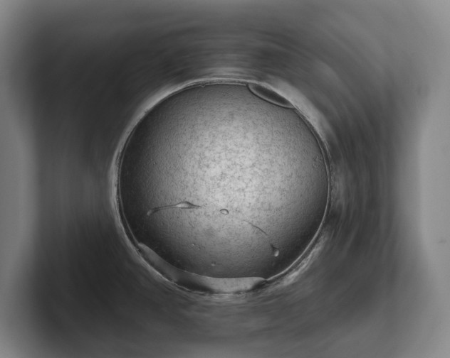 X0000102461390200808151358