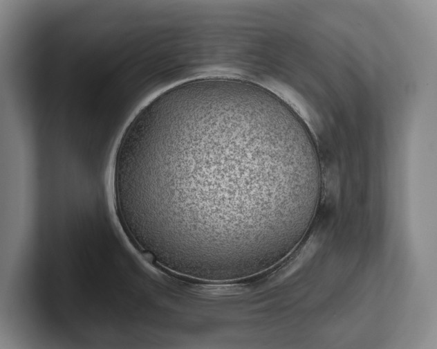 X0000102461391200808151358