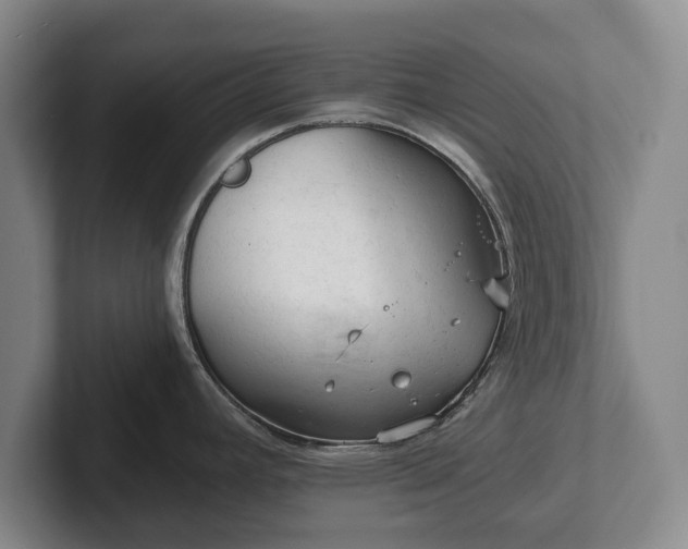 X0000102461392200808151358