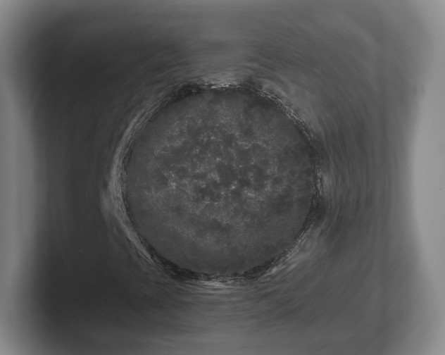 X0000102461393200808151357