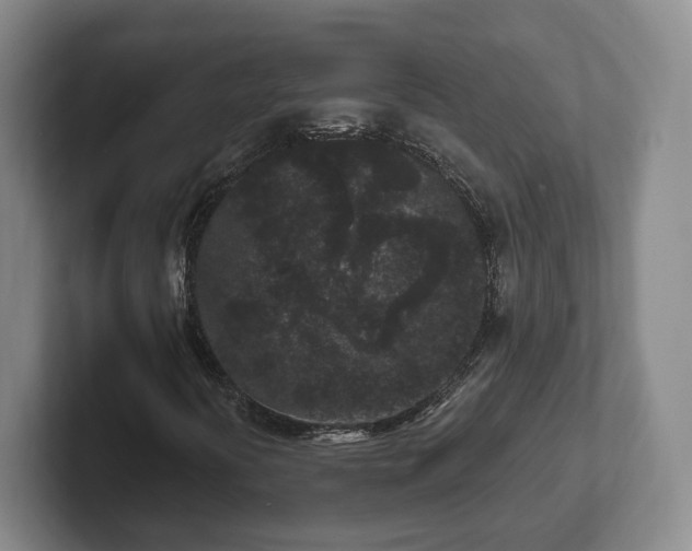 X0000102461394200808151357