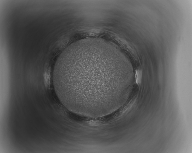 X0000102461395200808151357