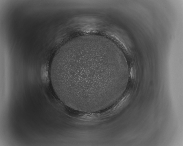 X0000102461396200808151357