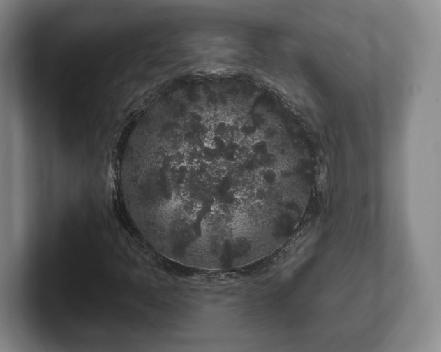 X0000102461397200808151357