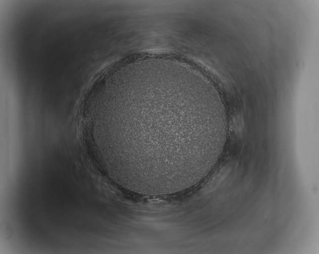 X0000102461398200808151357