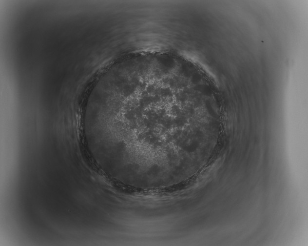 X0000102461399200808151357