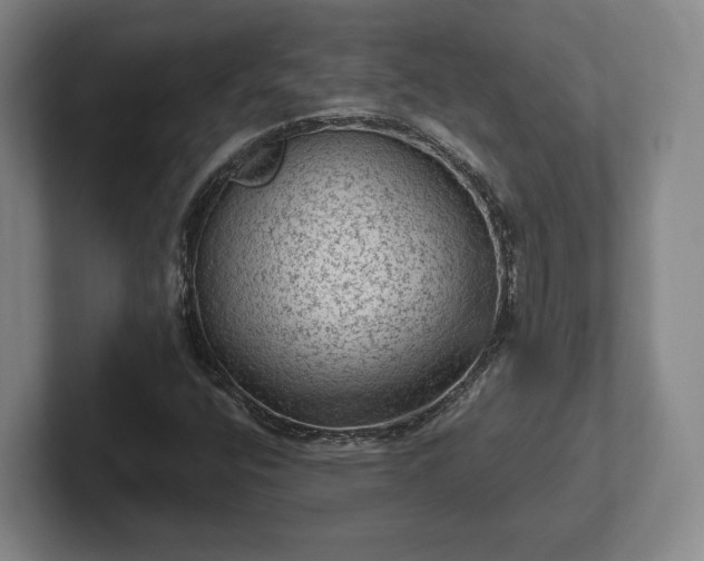 X0000102461400200808151357