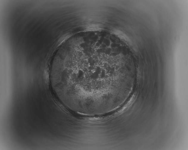 X0000102461401200808151357