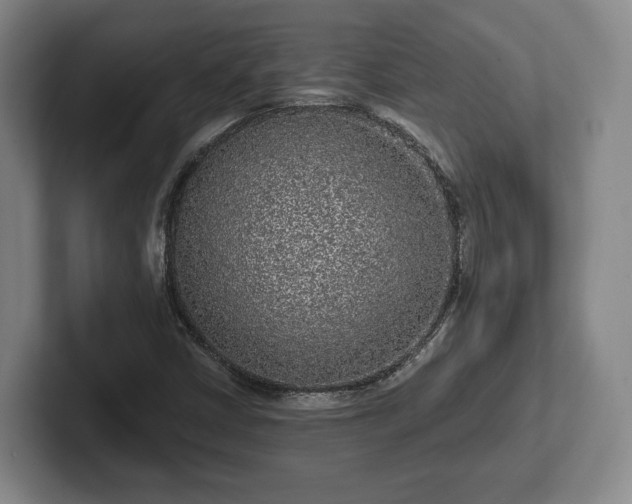 X0000102461402200808151357