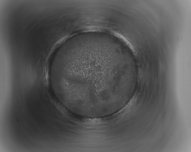 X0000102461403200808151357