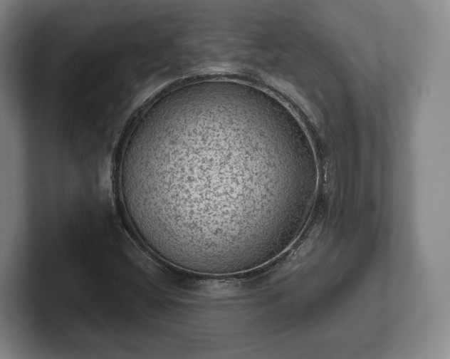 X0000102461404200808151358