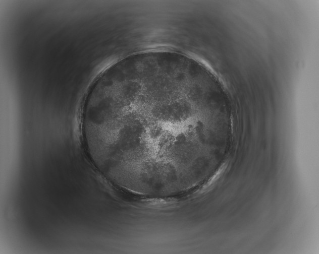 X0000102461405200808151358