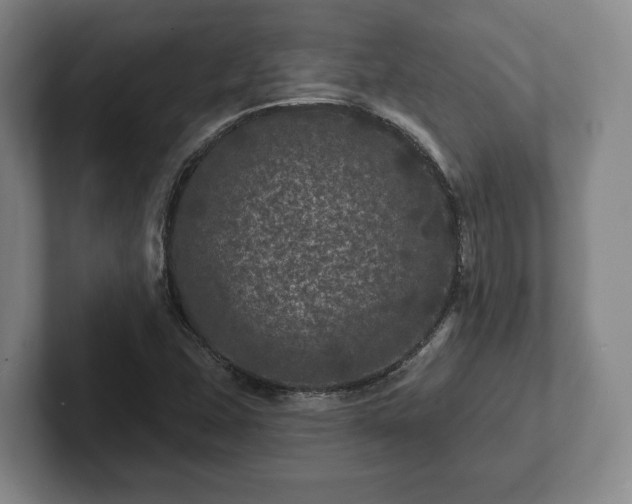 X0000102461407200808151358