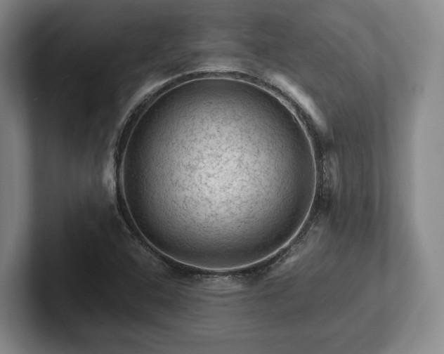 X0000102461408200808151358