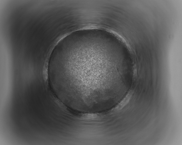 X0000102461409200808151358