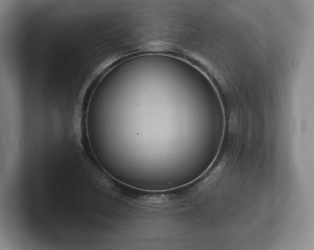 X0000102461410200808151358