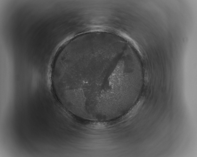 X0000102461411200808151358