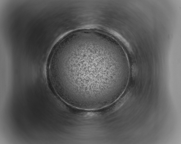 X0000102461412200808151358