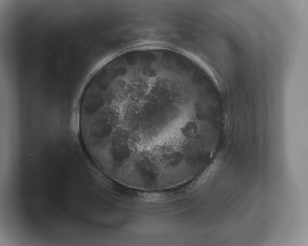 X0000102461413200808151358