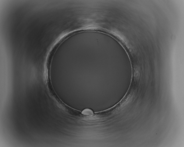 X0000102461414200808151358