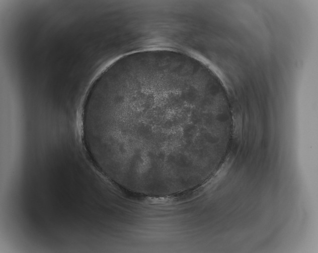 X0000102461415200808151358