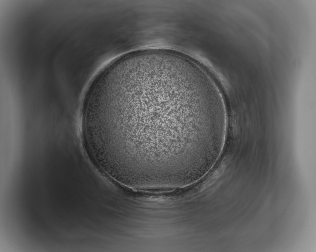 X0000102461416200808151358