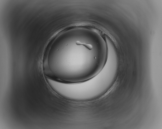 X0000102461417200808151358