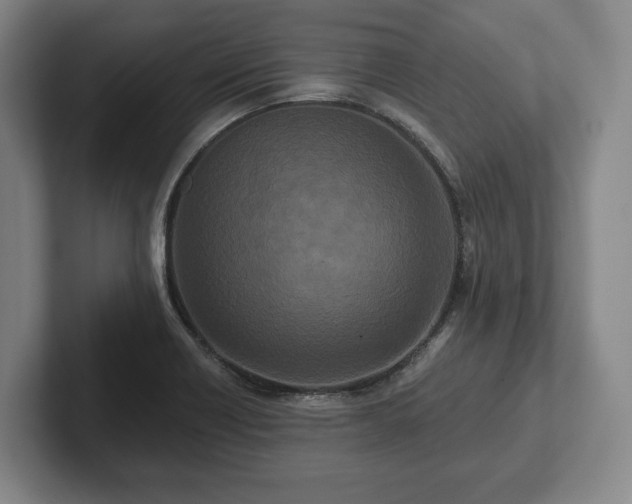 X0000102461418200808151358