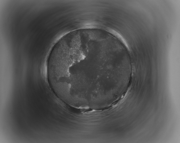 X0000102461419200808151358