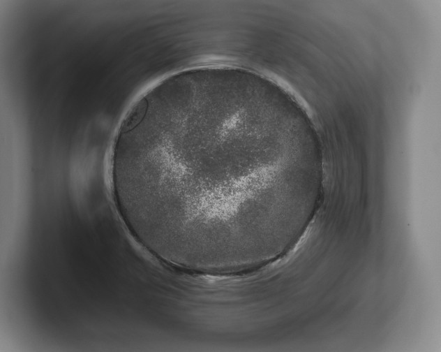 X0000102461421200808151358